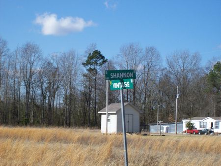 Hunting - Investment Tract : Shannon : Robeson County : North Carolina