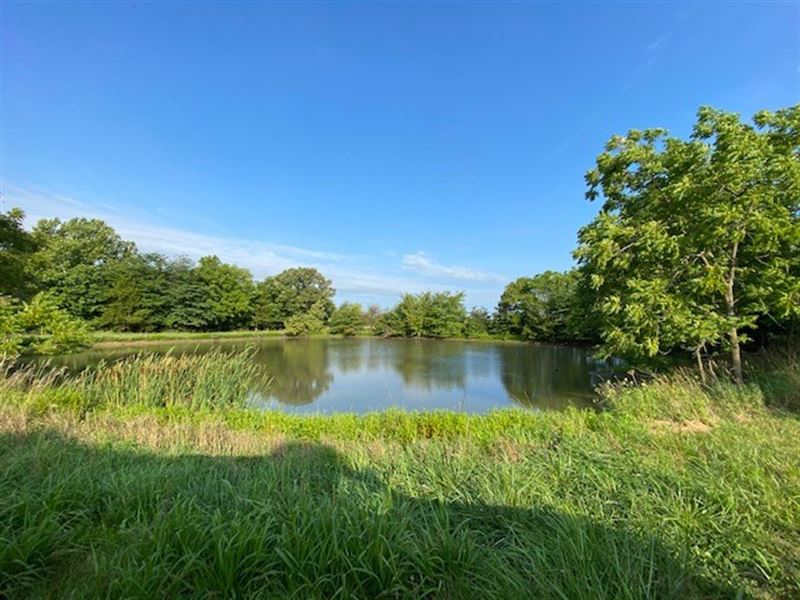 40 Acres in Daviess County MO, Ranch for Sale in Missouri, 250324