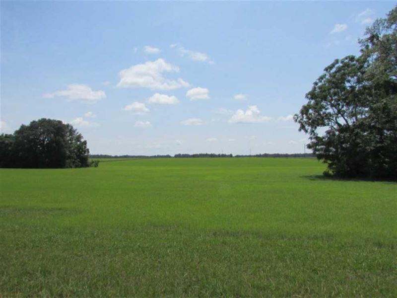 28.48 Acre Hay Field in Grady : Whigham : Grady County : Georgia