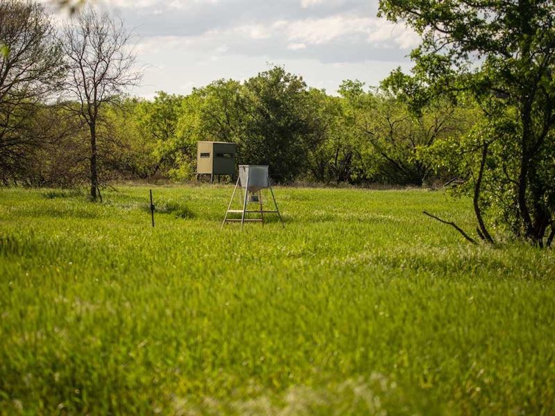 Mt7/Walker Ranch, Triple Forks Ranc, Ranch for Sale in Texas, 250818