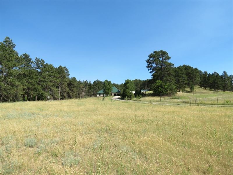 Starfall Ranch by California Dawes Starfall Ranch by California Dawes