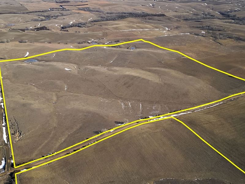 160 Acres, Knox County, Nebra : Verdigre : Knox County : Nebraska