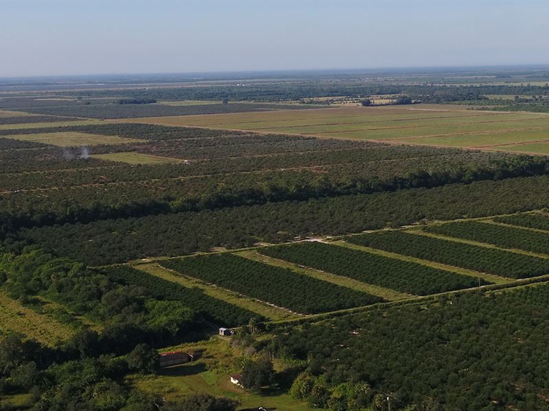 Marsh Tract Combined, Ag Portfolio : Vero Beach : Indian River County : Florida