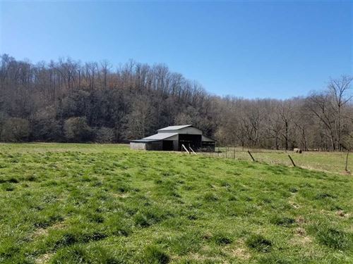105 Acres Wayne County, Tn, Water : Collinwood : Wayne County : Tennessee