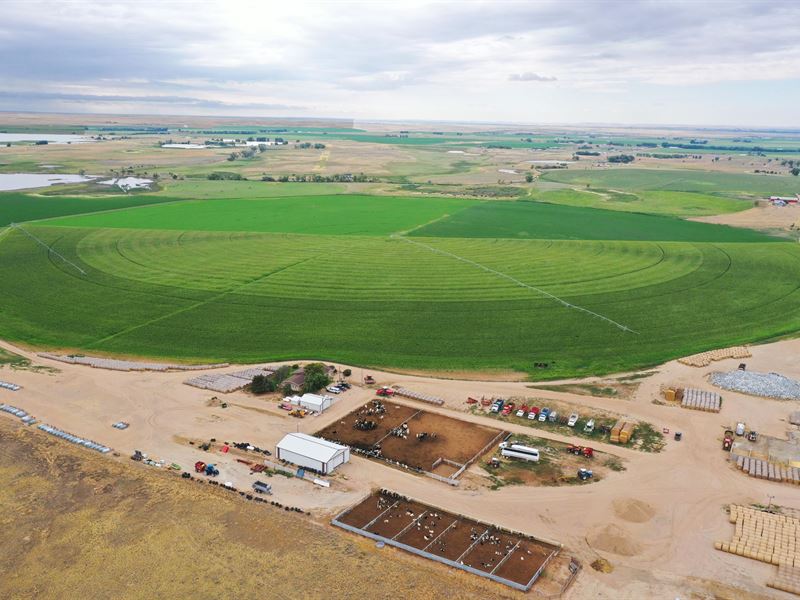 Gill Area Dairy Farm Ranch for Sale in Gill, Weld County, Colorado