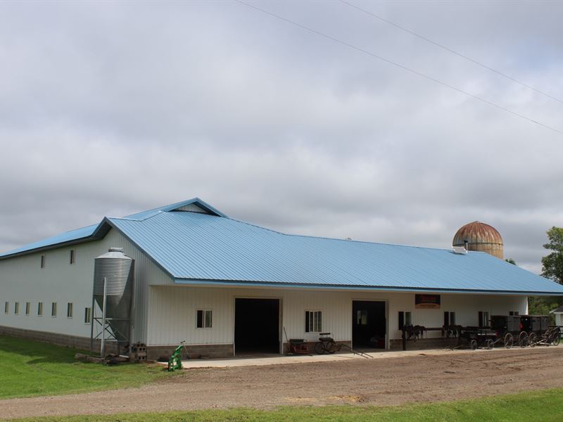 Beautiful 10 Acre Horse Property, Ranch for Sale in Minnesota, 252105