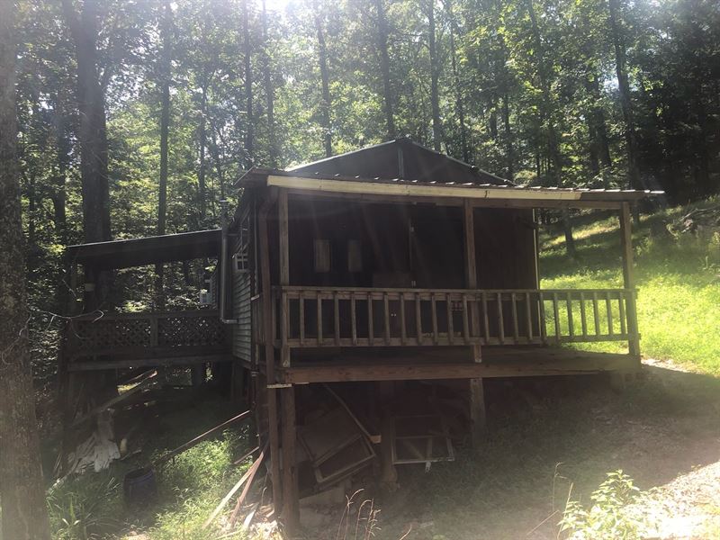 Private Excellent Hunting Property : West Union : Doddridge County : West Virginia