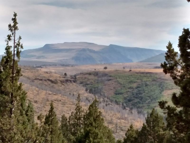 McCoy Creek Acreage, Steens Mtn, Ranch for Sale in Oregon, 252283