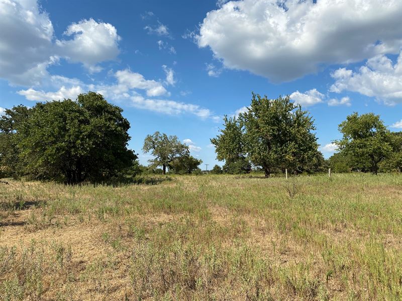 Oklahoma Hunting Land / Land Carter : Ratliff City : Carter County : Oklahoma
