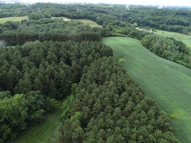 41 Acres Trempealeau County, WI : Strum : Trempealeau County : Wisconsin