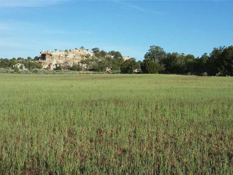 Muley Ridge, Lindrith, Nm, 80 Acr Ranch for Sale in Lindrith, Rio