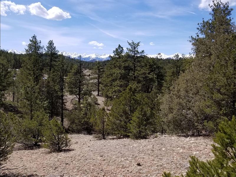 Two Large Mountain Lots Gated : Westcliffe : Custer County : Colorado