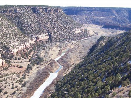 Game Fenced Canadian River Ranch : Wagon Mound : Mora County : New Mexico