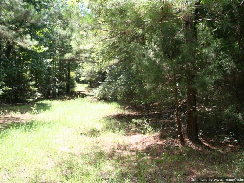 Interstate Frontage Timberland : Pickens : Yazoo County : Mississippi