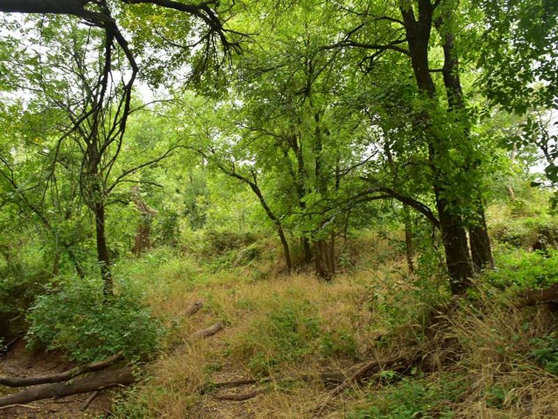 Elm Creek 80, Exceptional 80 Acre : Newcastle : Young County : Texas