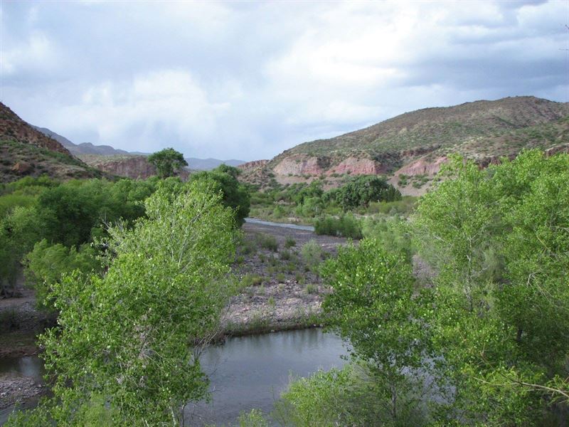 New 550-600 Head Kaler Ranch : Duncan : Greenlee County : Arizona