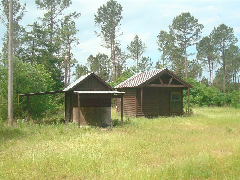 East Texas Land, Timber, Hunting Ranch for Sale in Mount Enterprise
