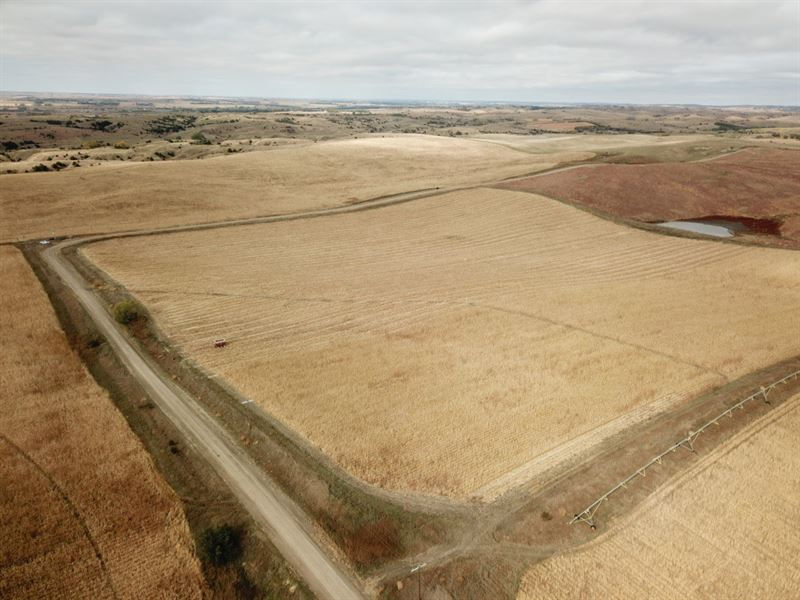 Comstock Irrigated Organic Farm : Comstock : Valley County : Nebraska