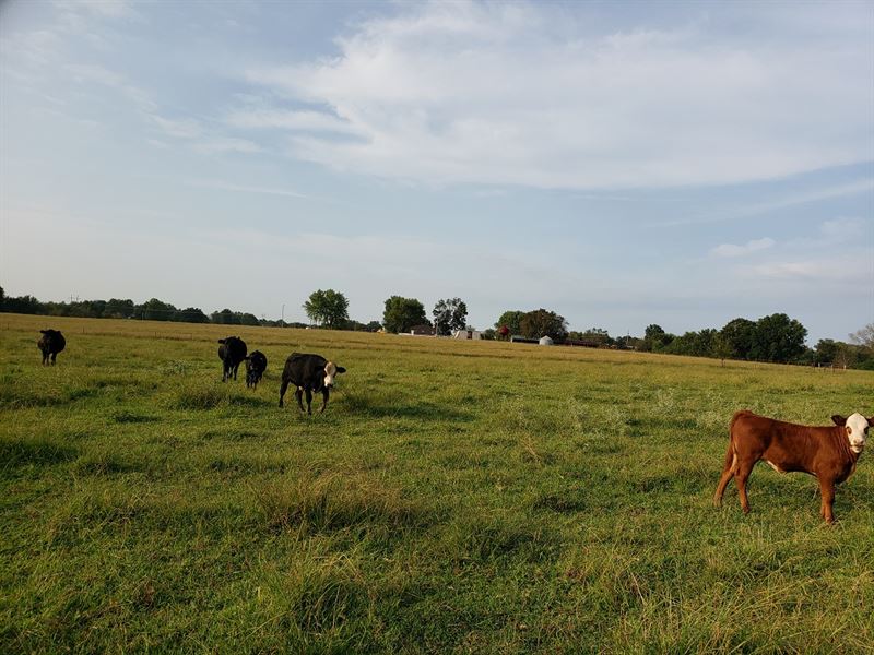 Muskogee CO Cattle / Hunting Ranch : Warner : Muskogee County : Oklahoma