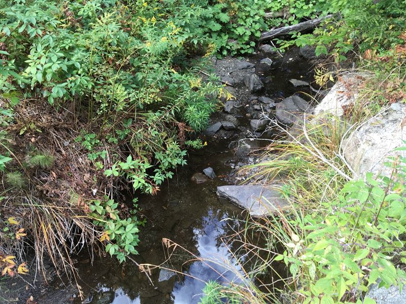 Off Grid Bug Out Land Trout Stream : Williamsburg : Piscataquis County : Maine