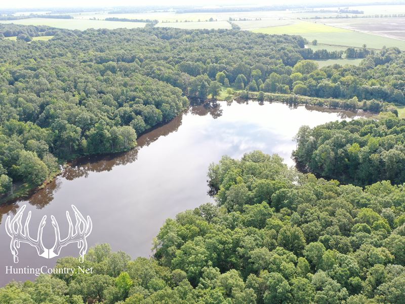 Lakefront Property for Sale, Ranch for Sale in Arkansas, 255289