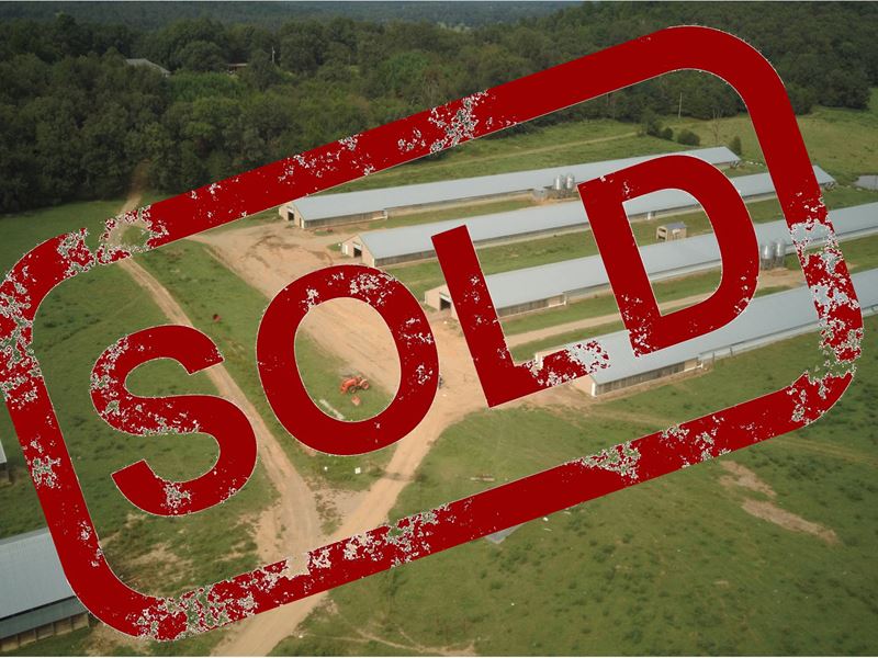 Arkansas Poultry Farm, 4 Broilers : Altus : Johnson County : Arkansas