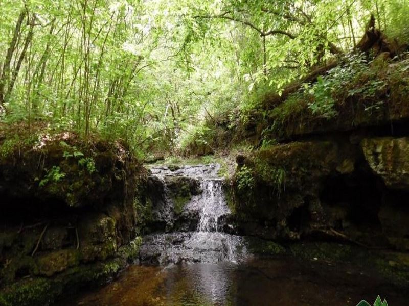 Year-Round Creek, Cave : Houston : Texas County : Missouri