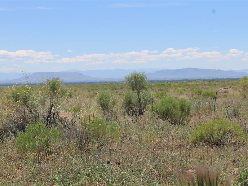 80 Acres in Colorado Ranch for Sale by Owner in La Jara, Conejos