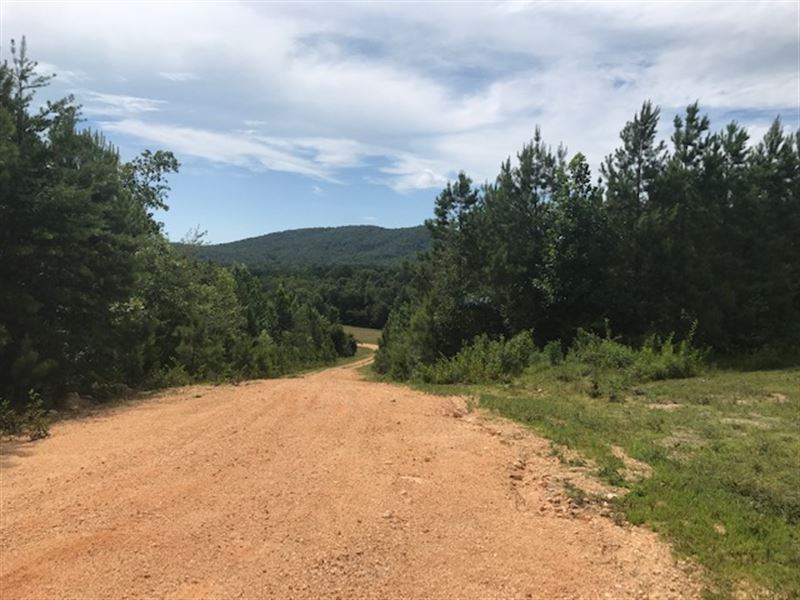 47+/- Acres, Pasture & Chert Pit : Ashville : Saint Clair County : Alabama