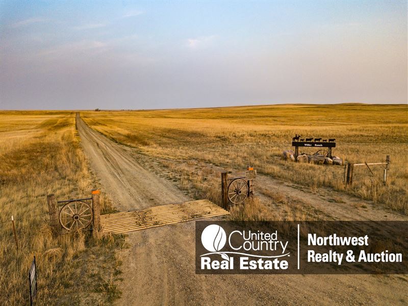 Montana Ranch Grazing Land Phillips, Ranch for Sale in Montana, 256080
