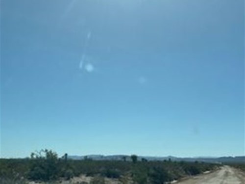20 Acres Just Foreclosed, $168/Mo : Sierra Blanca : Hudspeth County : Texas