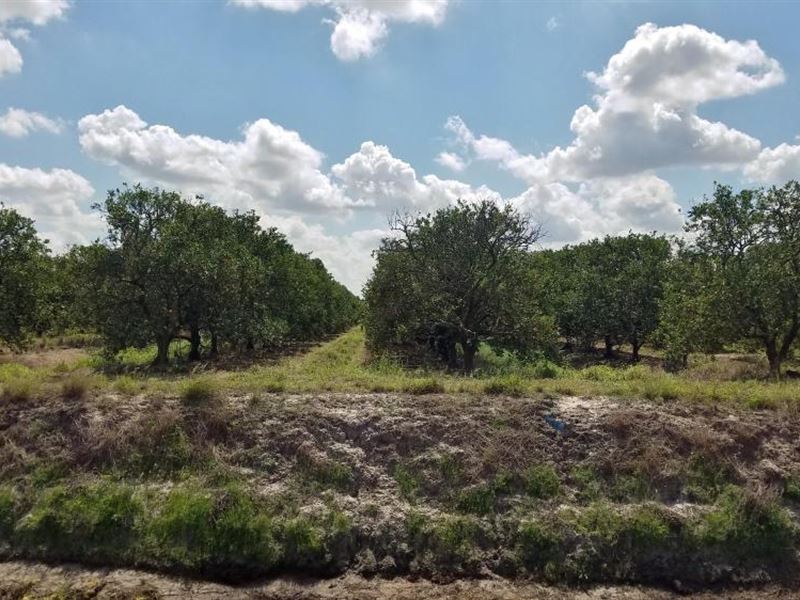 Orange Grove, Ranch for Sale by Owner in Florida, 256108 RANCHFLIP