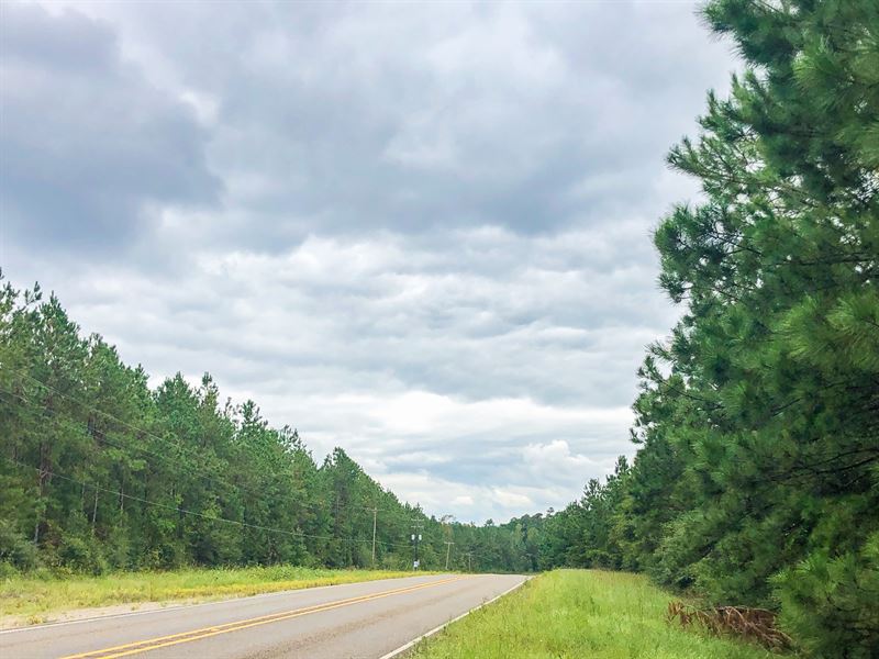 45 Acres FM 1005 T1 Ranch for Sale in Jasper, Jasper County, Texas