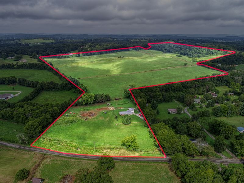 Estate Auction 235 Acres : Riceville : McMinn County : Tennessee