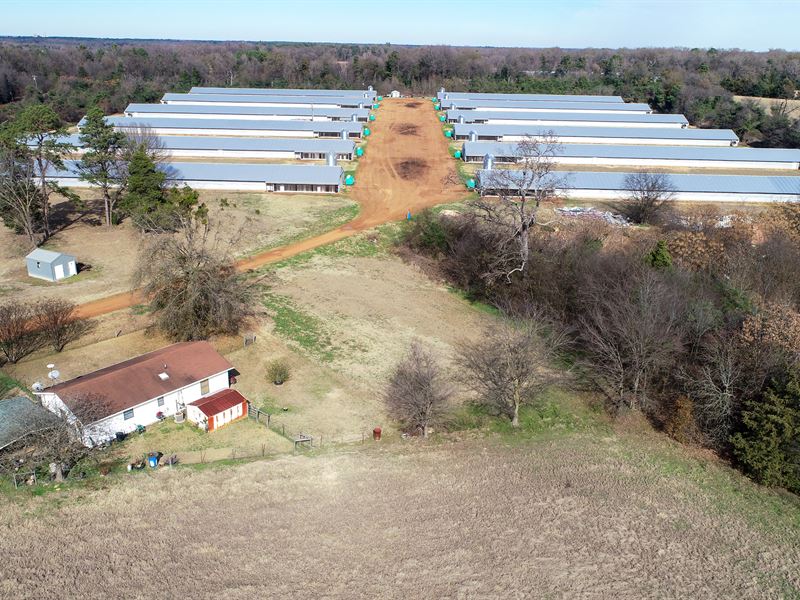 Pilgrim Farm 30 Ranch for Sale in Pittsburg, Camp County, Texas 256542 ranchflip