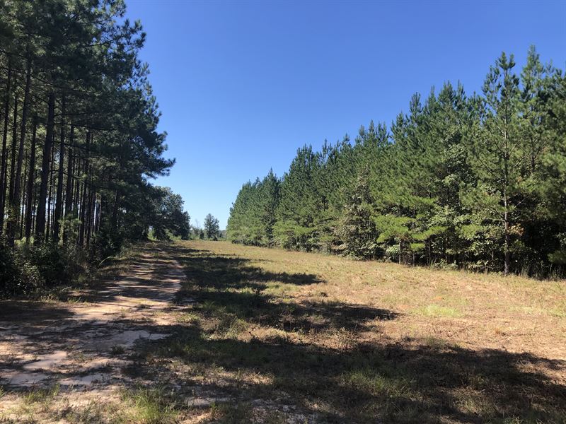 Durhart Creek : Louisville : Jefferson County : Georgia