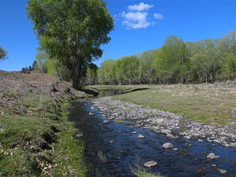 San Francisco River Farm/Hunt 68 ac : Reserve : Catron County : New Mexico