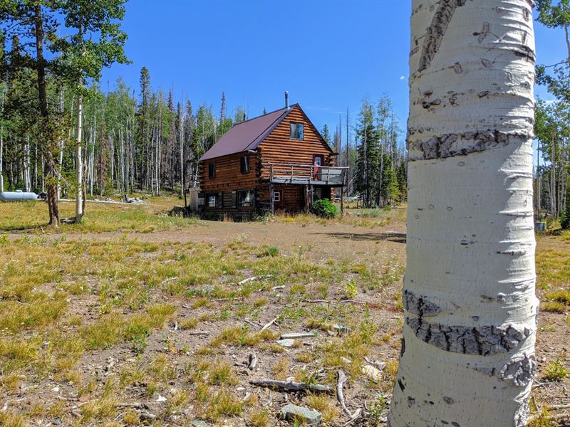 Cow Creek Cabin : Encampment : Carbon County : Wyoming
