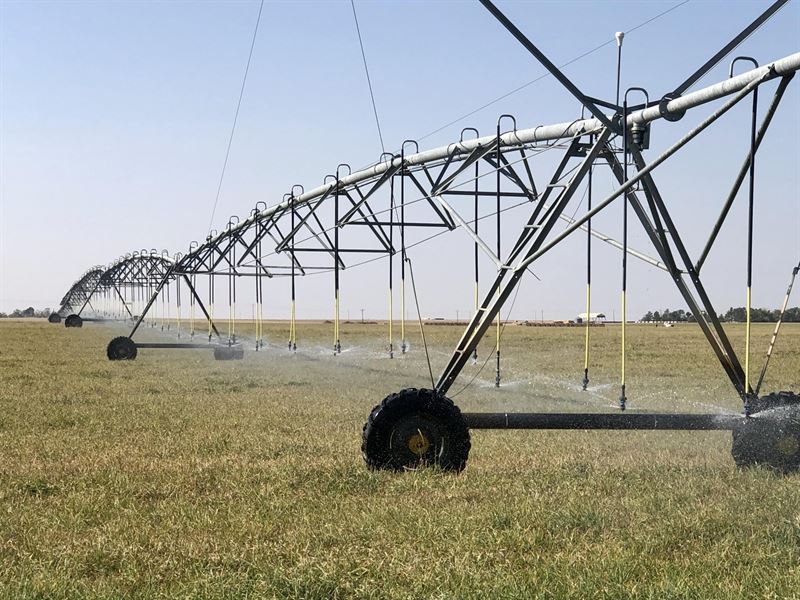 Ludwig Farms : Rush : Elbert County : Colorado