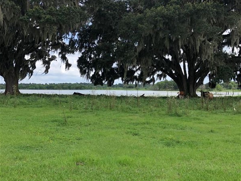 Lakefront 26.5 Acres : Brooksville : Hernando County : Florida