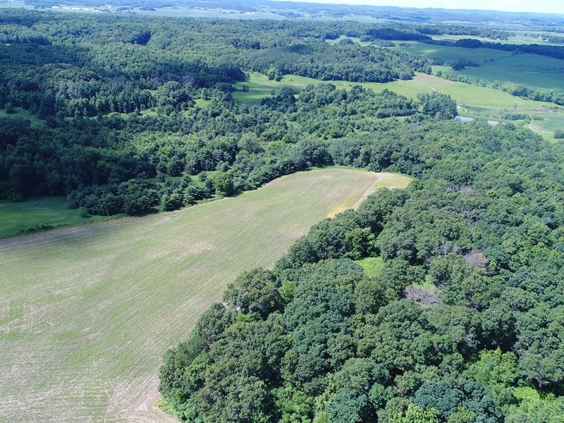 62 Acres Trempealeau County, WI : Strum : Trempealeau County : Wisconsin