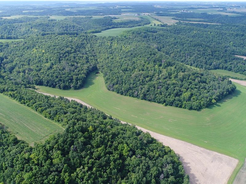 177 Acres Buffalo County, WI : Fountain City : Buffalo County : Wisconsin