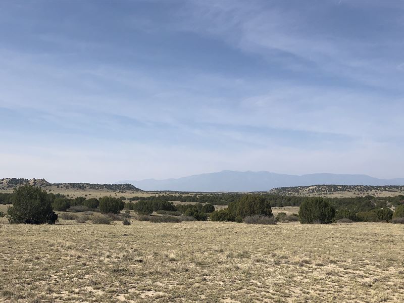 Hatchet Ranch 15, Ranch for Sale in Colorado, 256857 RANCHFLIP