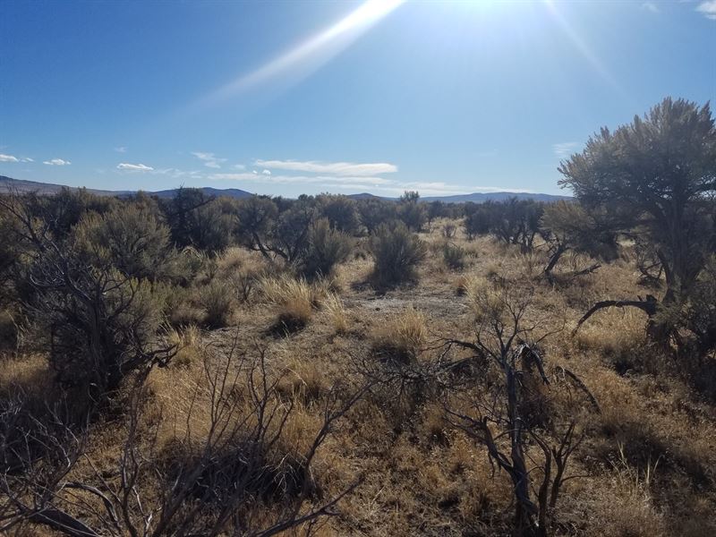 160 Acres in Ravendale, California, Ranch for Sale in California