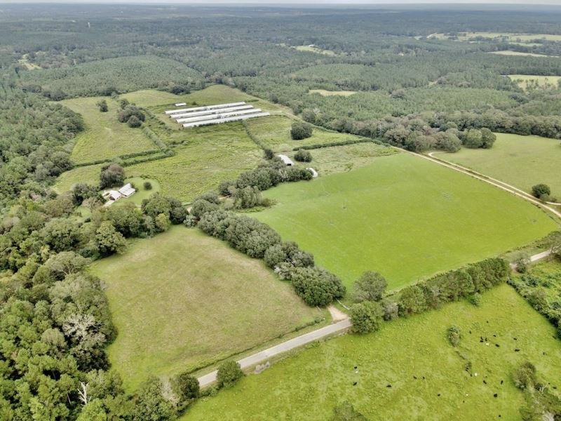 65 Acre Cattle Farm, Home for Sale : Sandy Hook : Walthall County : Mississippi
