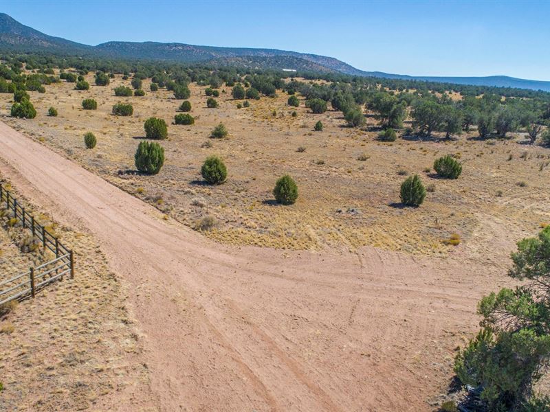 Fenced Horse Property Borders State : Seligman : Yavapai County : Arizona