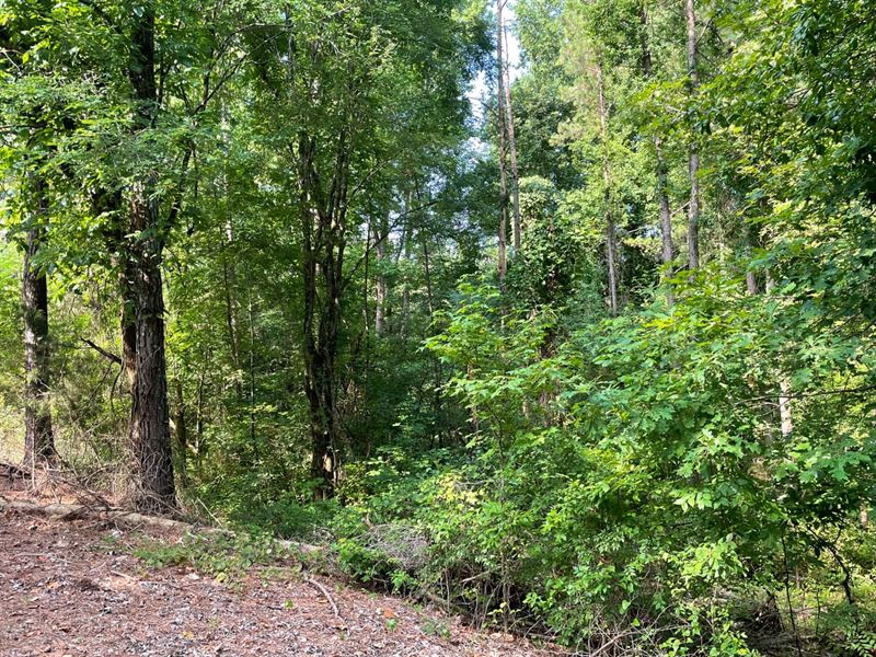 Tract 1 22 Acre Homesite in Lawrenc : Town Creek : Lawrence County : Alabama