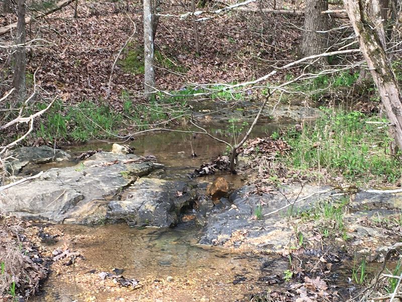 Arkansas Land, Timberland AR : Ravenden Springs : Randolph County : Arkansas