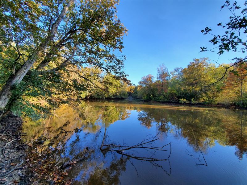 Forked Deer River Tract : Bells : Haywood County : Tennessee