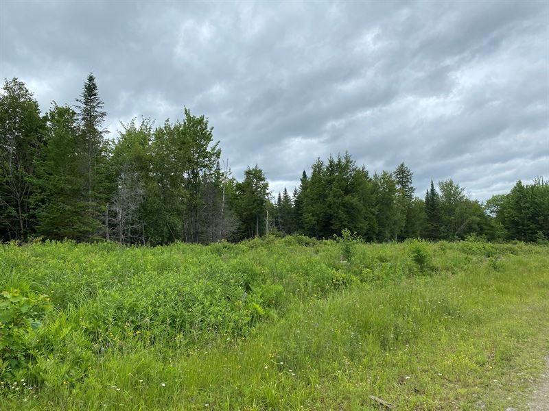 230 Acres Maine Land for Sale : Prentiss : Penobscot County : Maine